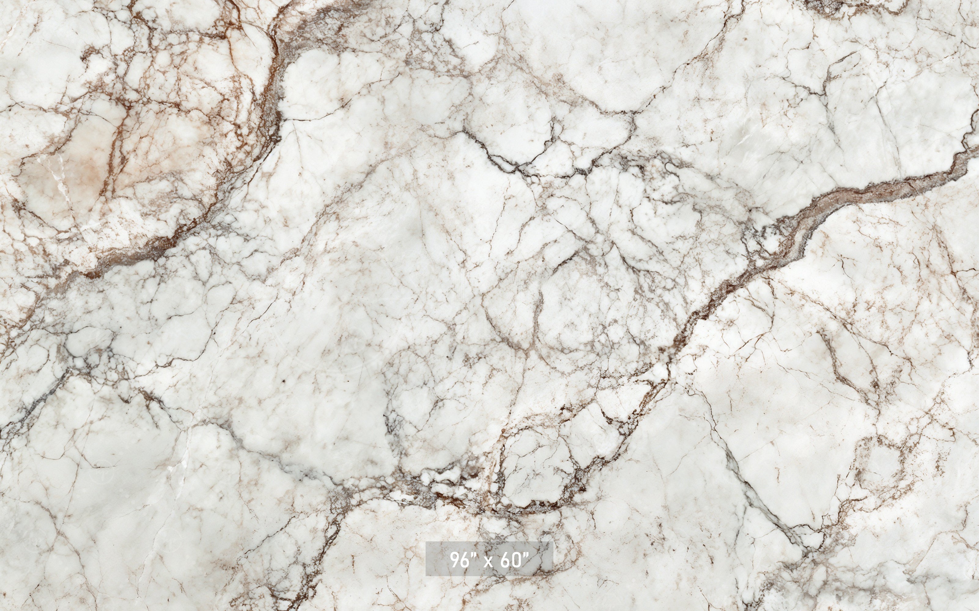 Classic White & Brown Marble Backdrop