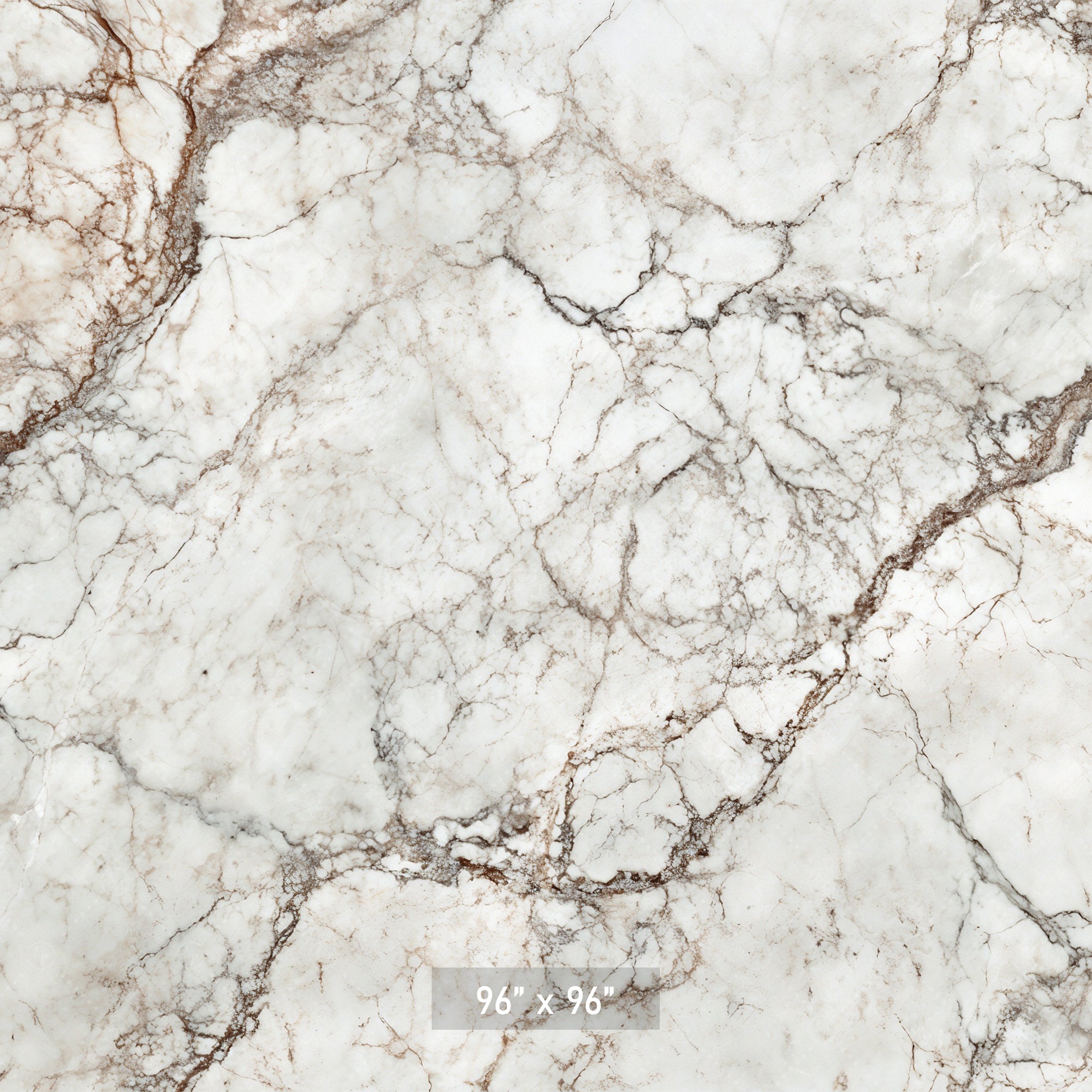 Classic White & Brown Marble Backdrop