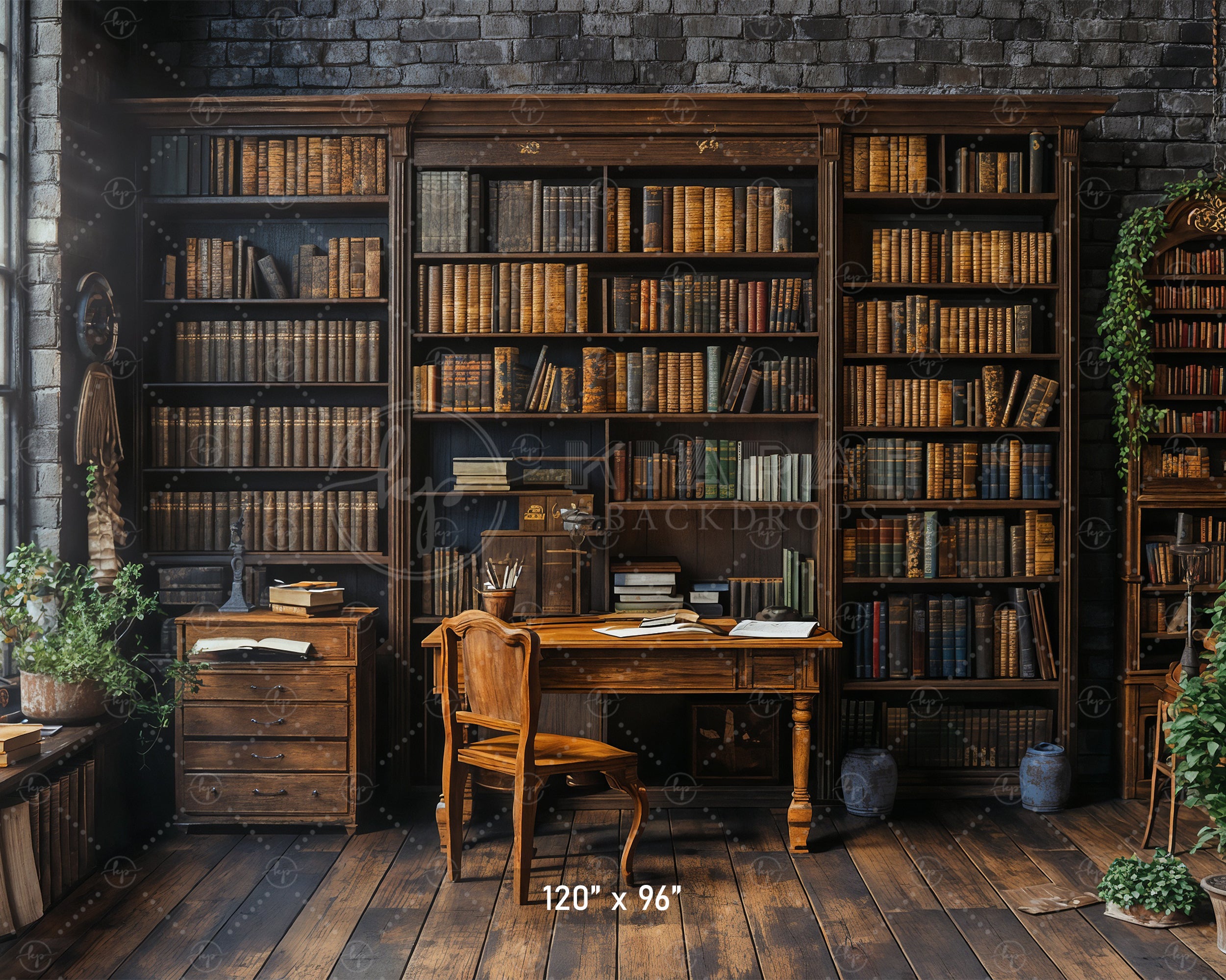 Vintage Library Study Backdrop