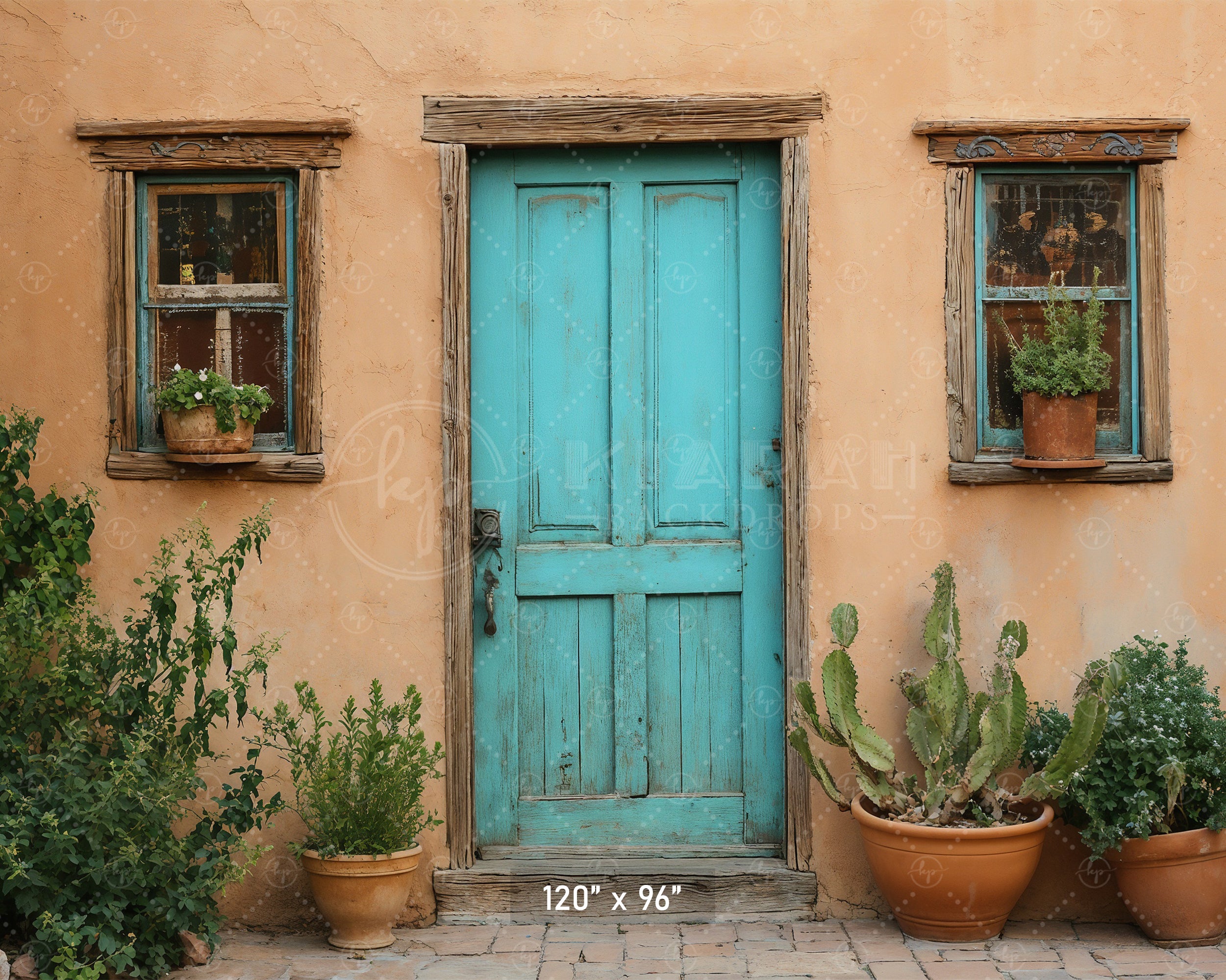 Southwestern Teal Door Backdrop
