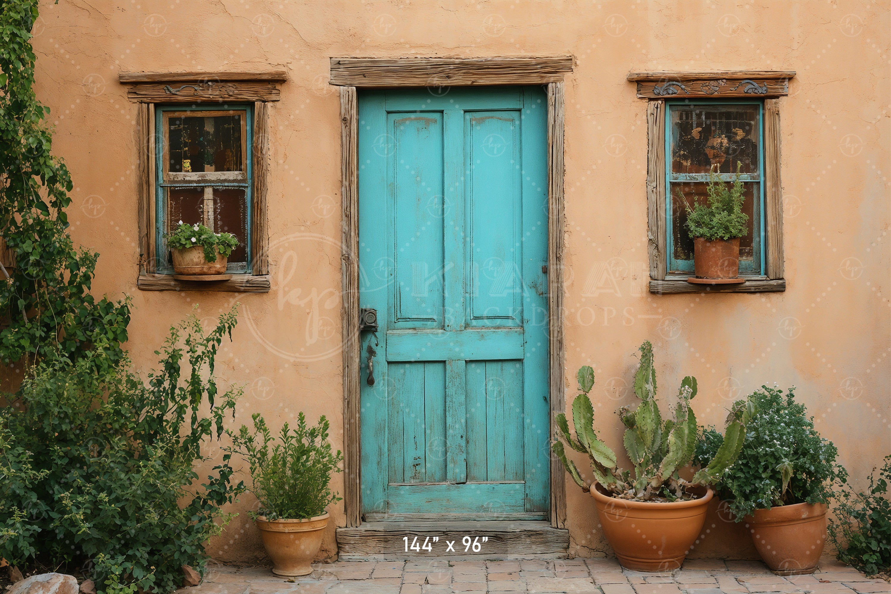 Southwestern Teal Door Backdrop