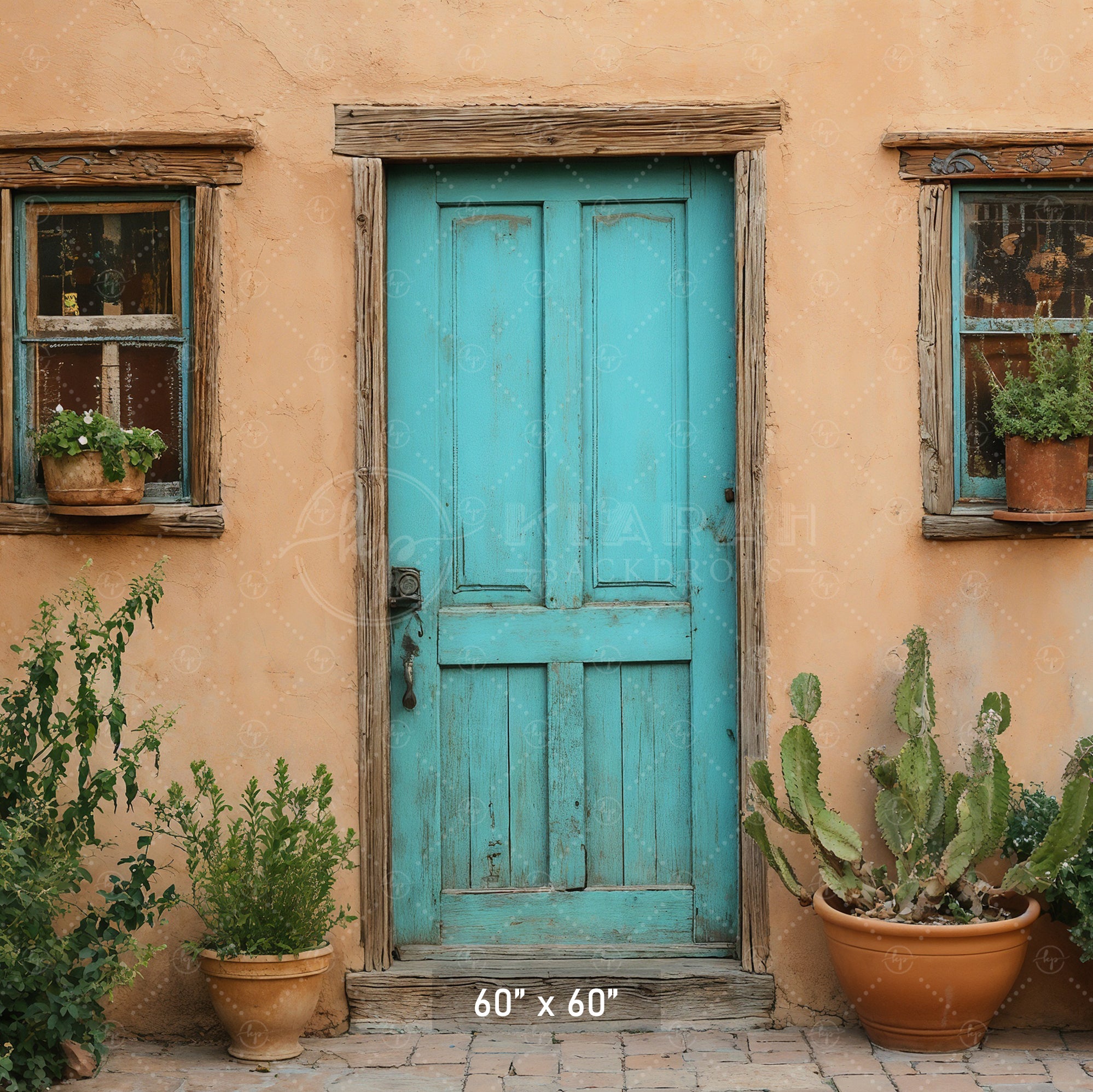 Southwestern Teal Door Backdrop