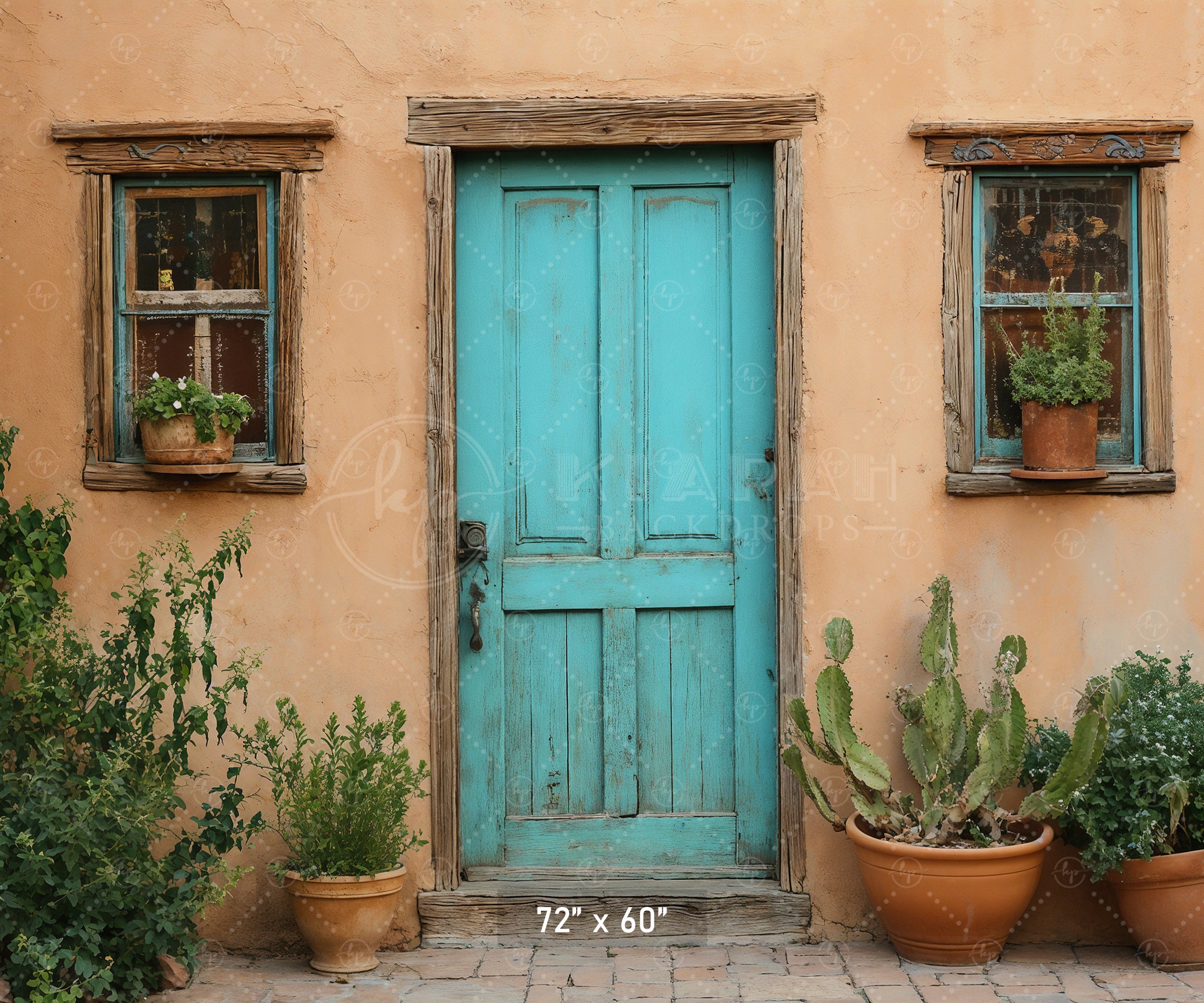 Southwestern Teal Door Backdrop