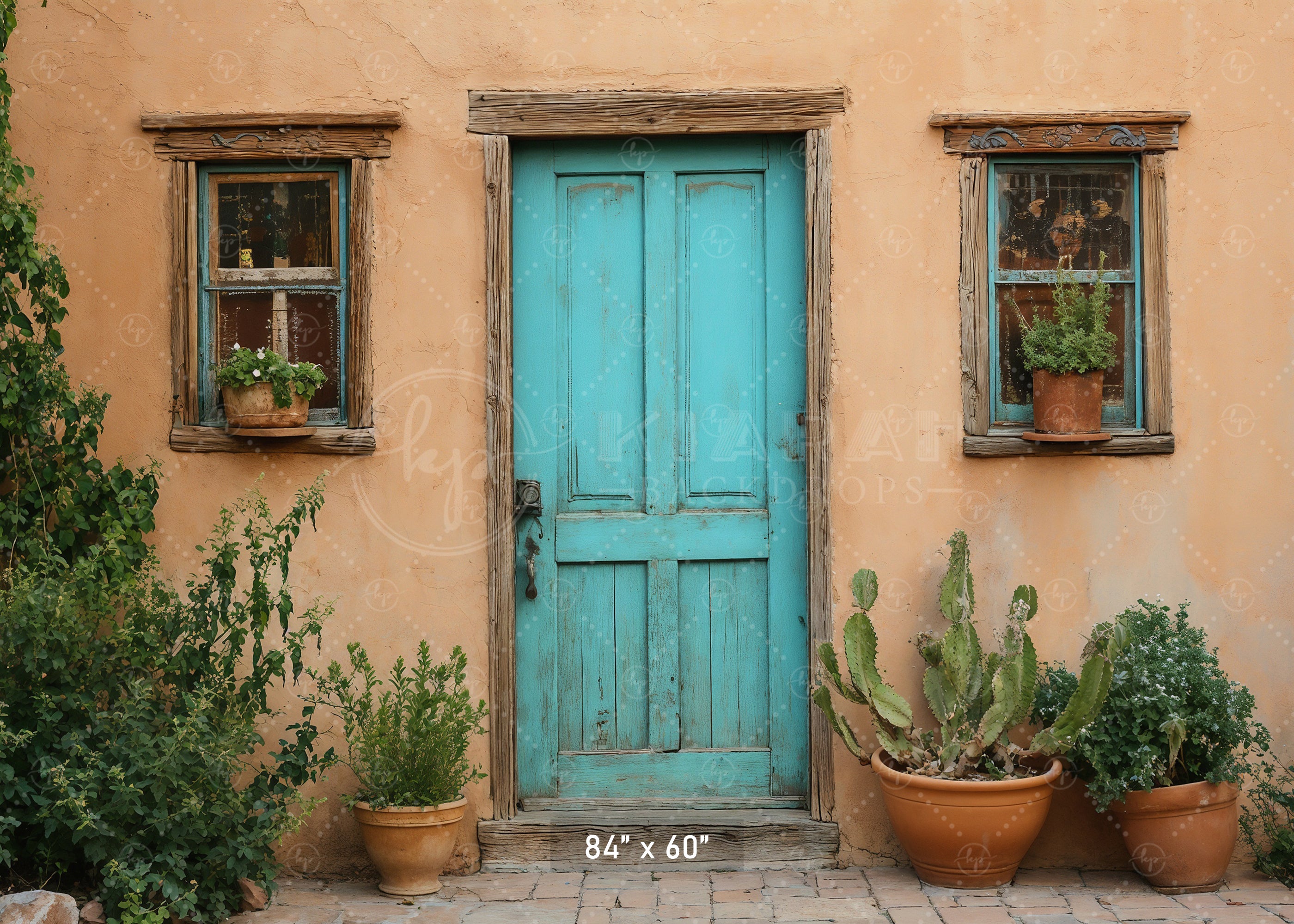 Southwestern Teal Door Backdrop