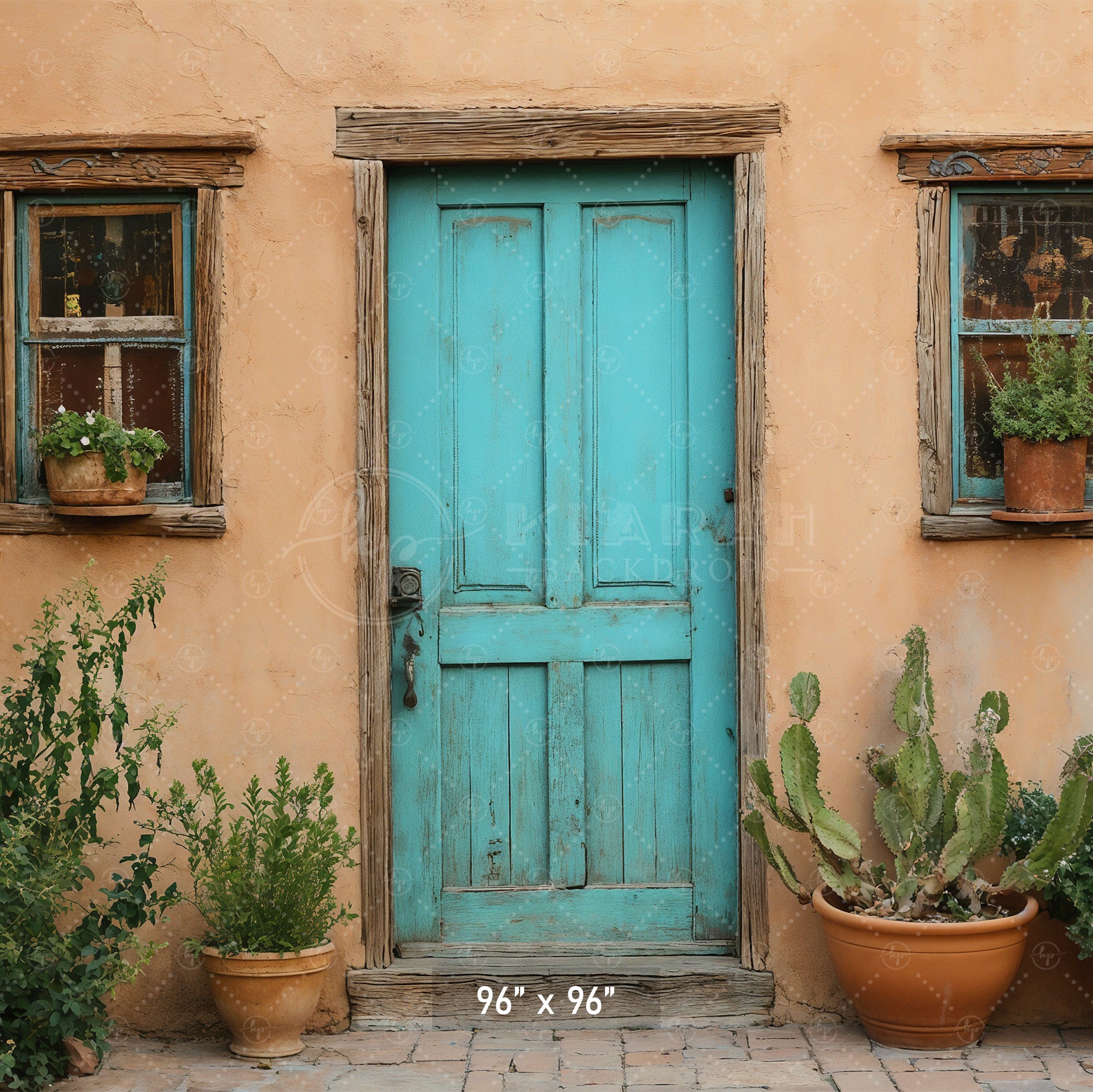 Southwestern Teal Door Backdrop