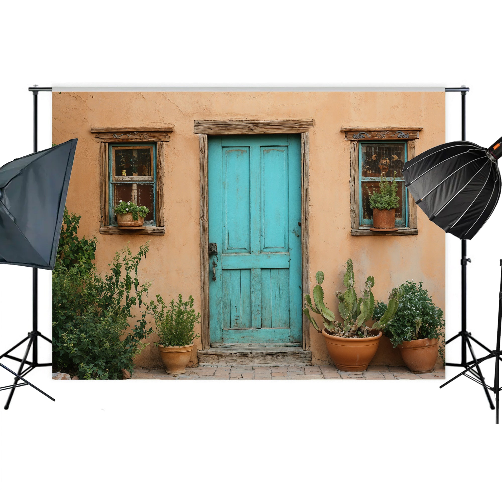 Southwestern Teal Door Backdrop