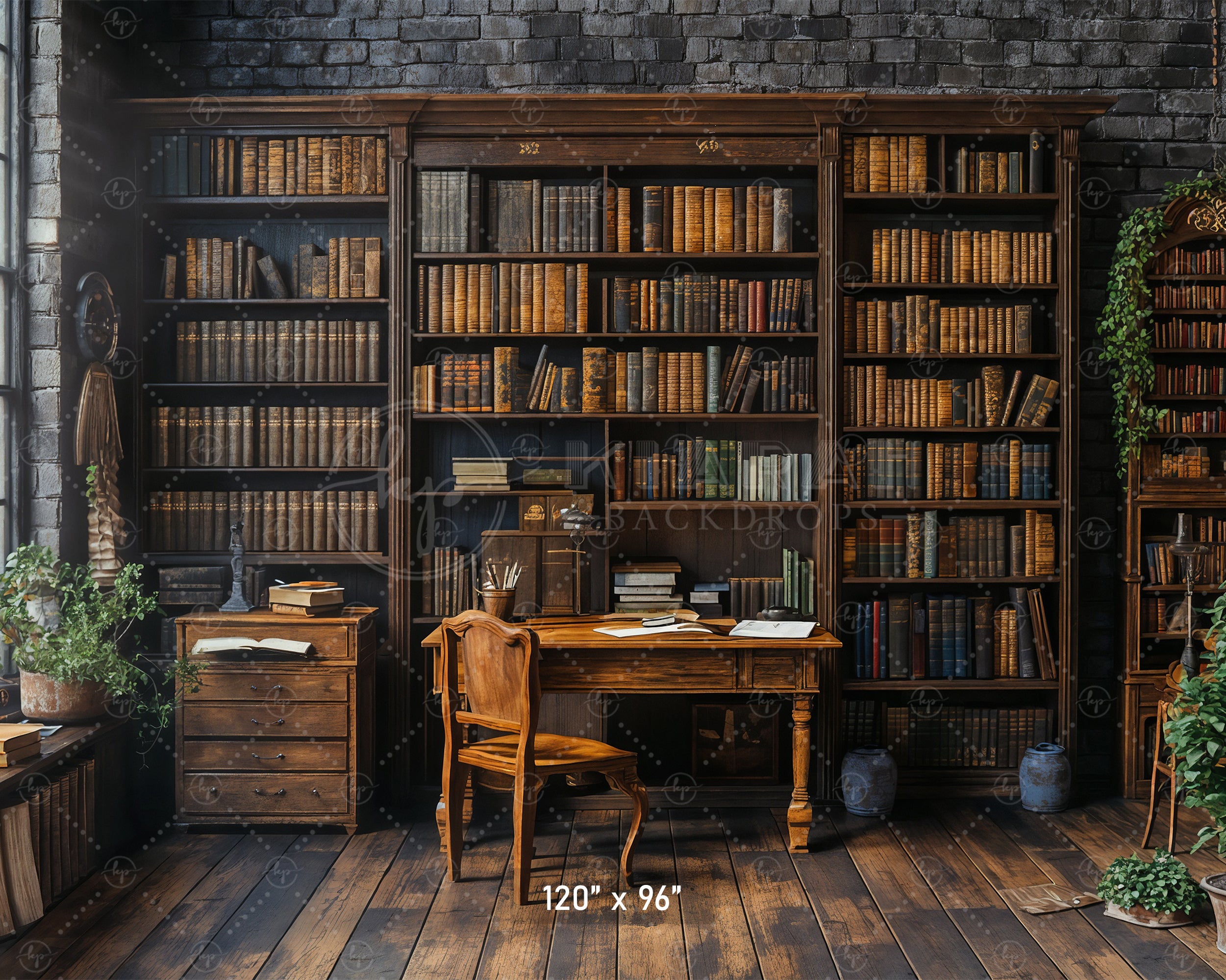 Scholarly Reading Room Backdrop