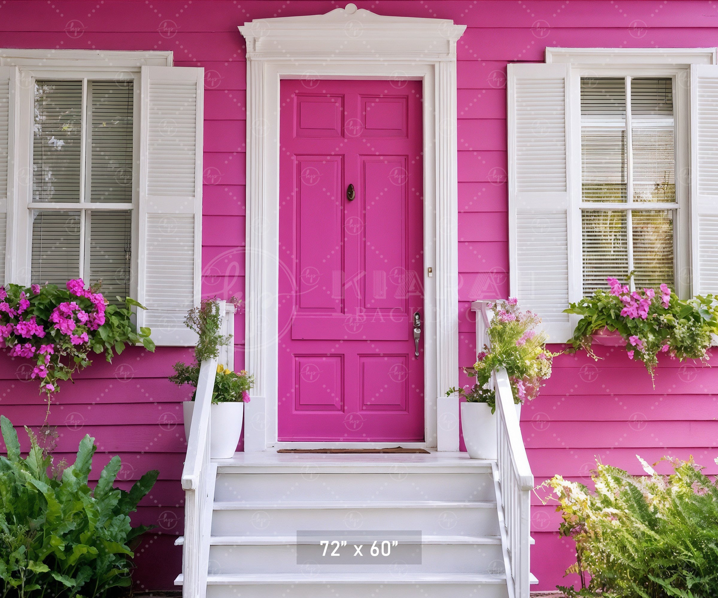 Pretty Pink House Entrance Backdrop