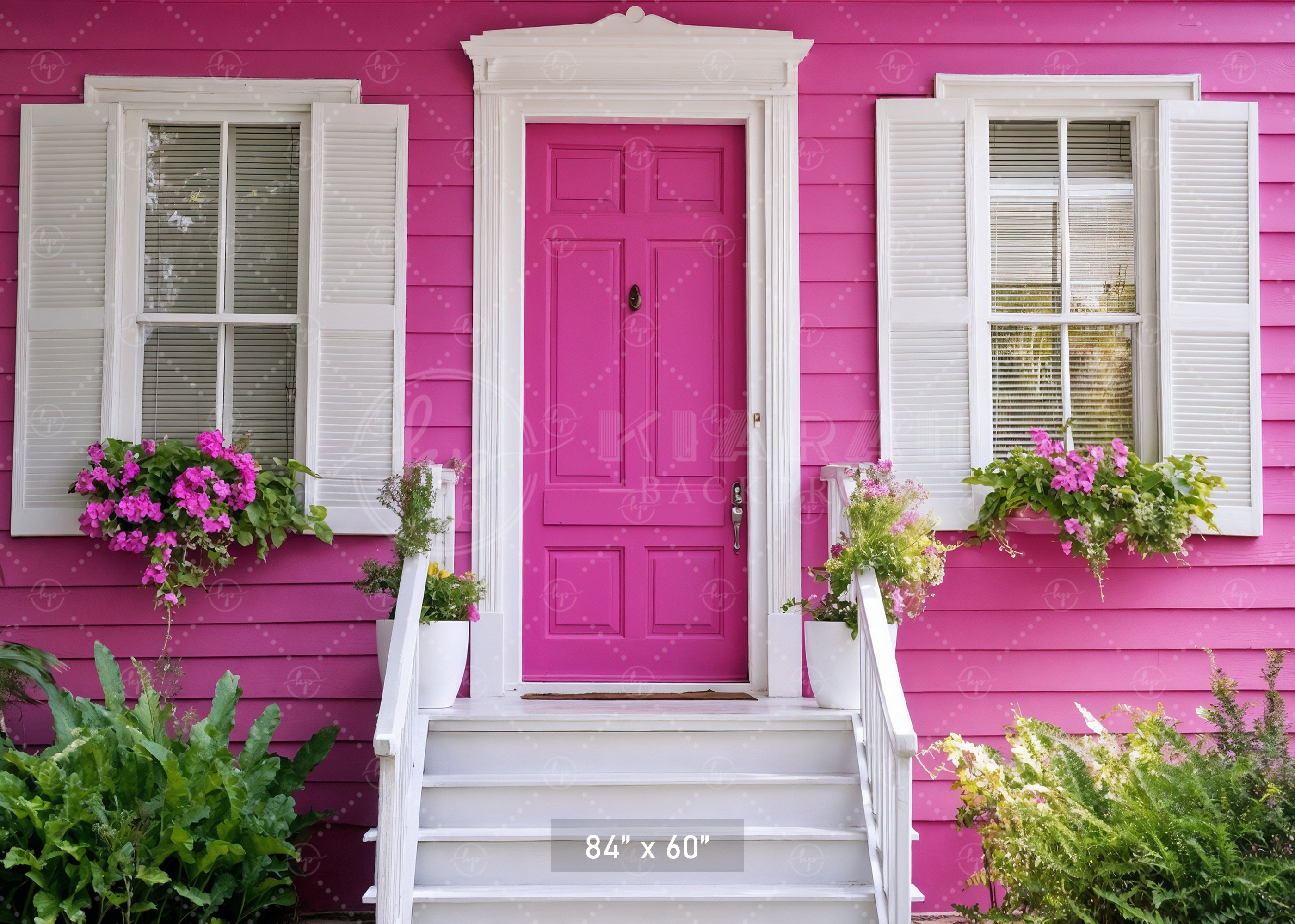 Pretty Pink House Entrance Backdrop
